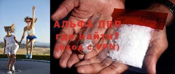 ГАЛЛЮЦИНОГЕННЫЕ ГРИБЫ Нея