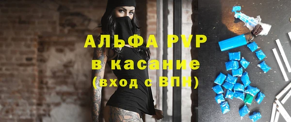 Альфа ПВП Новозыбков