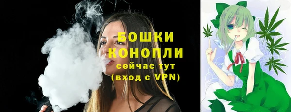 гашик Нефтекумск