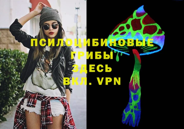 Альфа ПВП Новозыбков