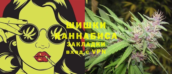 ГАЛЛЮЦИНОГЕННЫЕ ГРИБЫ Нея