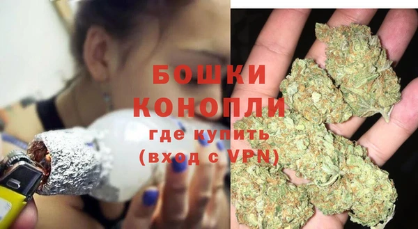 гашик Нефтекумск