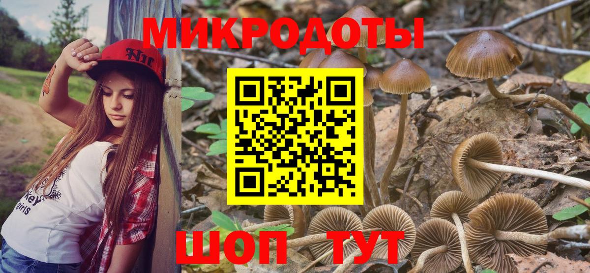Краснознаменск  Псилоцибиновые грибы ЛСД  Вход с VPN 