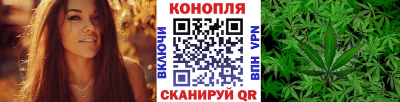 блэк спрут как зайти  Краснознаменск  Бошки марихуана Amnesia  даркнет сайт 