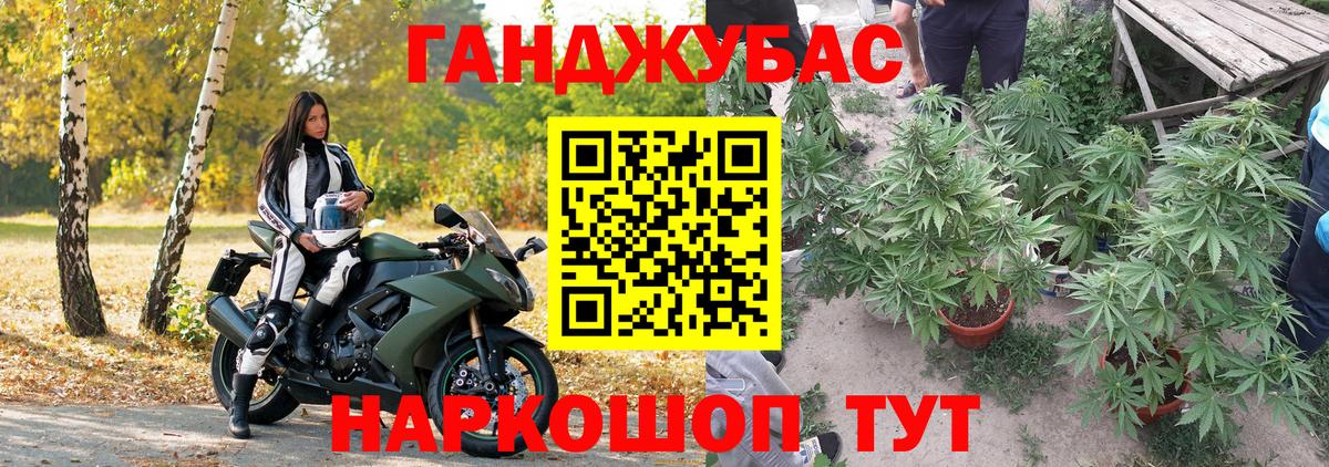 Каннабис OG Kush  Каннабис SATIVA & INDICA  Вход с VPN  Каннабис конопля  Краснознаменск 